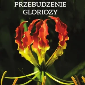 Przebudzenie Gloriozy Zniżka