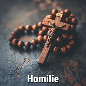 Homilie pogrzebowe Darmowa dostawa