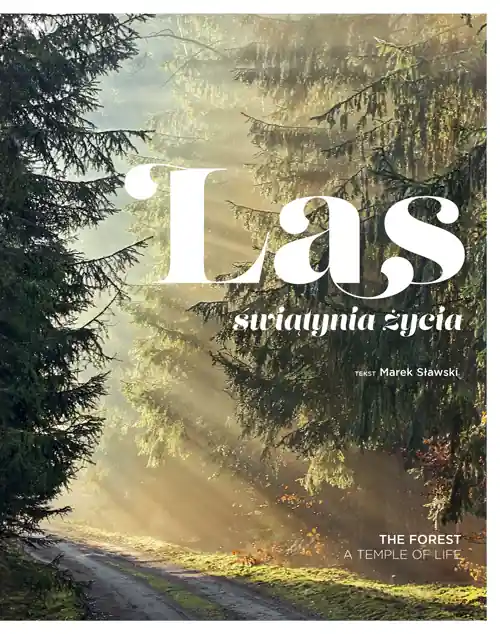 Łatwy zwrot Las. Świątynia życia