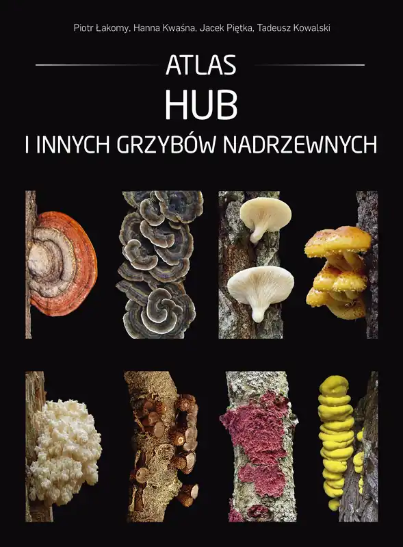 Hit sprzedaży Atlas hub i innych grzybów nadrzewnych