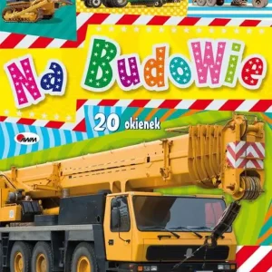 Na budowie 20 okienek Wybór klientów