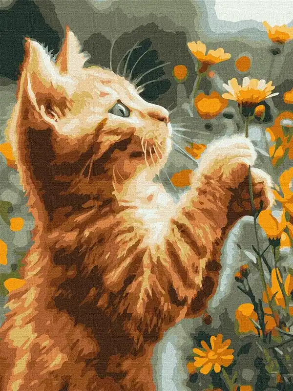 Cena promocyjna Malowanie po numerach - Rudy puszystek 30x40cm