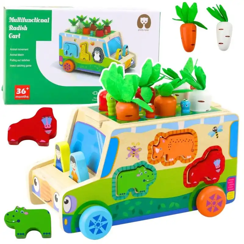 Hit sprzedaży Auto edukacyjne sorter kształtów drewniany