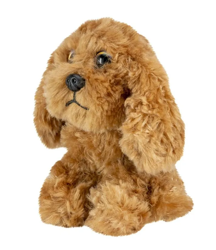 Okazja Lumo Cockerspaniel Bubby Classic puppies