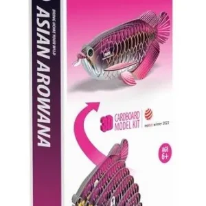 Ryba Arowana Azjatycka Eugy. Eko Układanka 3D Okazja